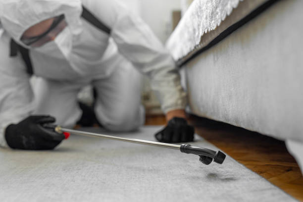 Professional Cockroach Control technician working in Alturas, FL
